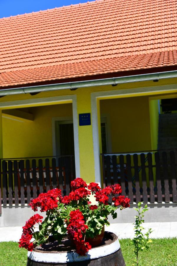 Apartman Vito Saborsko المظهر الخارجي الصورة